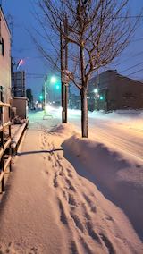 20210203外の様子朝歩道と東通り1