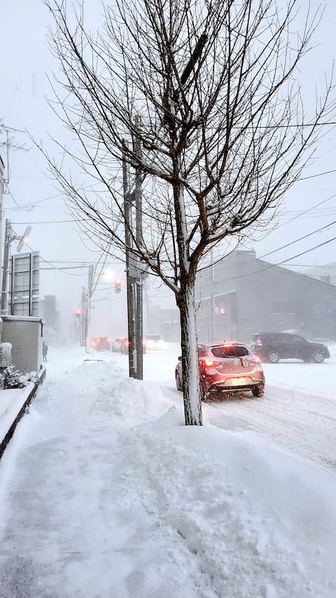 20210203外の様子朝雪寄せ途中で襲った吹雪