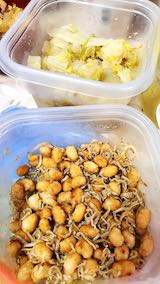 20210203お昼ご飯豆とジャコの和えもの