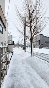 20210203外の様子昼過ぎ歩道と東大通り1