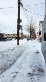 20210203外の様子昼過ぎ歩道と東大通り3