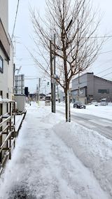 20210203外の様子夕方歩道と東大通り1