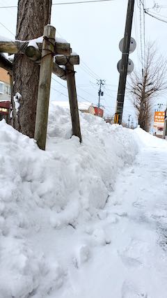 20210203外の様子夕方歩道の様子1