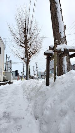 20210203外の様子夕方歩道の様子2