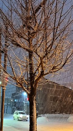 20210203外の様子夜のはじめ頃歩道と東大通り5