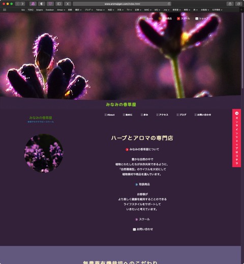 20210225MacSafariHome