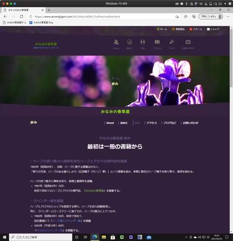 20210225Win10EdgeOutline