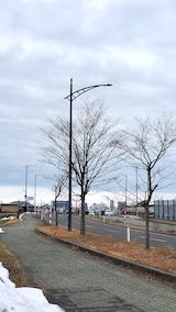 20210301外の様子昼前施設出入り口から望んだ風景