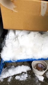 20210301京都から届いたうどん3