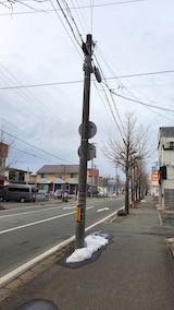 20210301外の様子夕方歩道と東大通り3