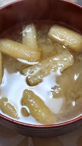 20210306お昼ご飯油揚げと新タマネギの味噌汁