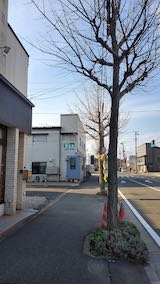 20210408外の様子朝南の空と歩道そして東大通り