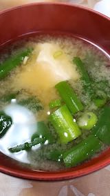 20210408お昼ご飯豆富とネギのみそ汁