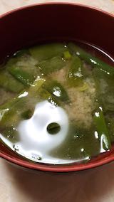 20210408晩ご飯豆富とネギのみそ汁