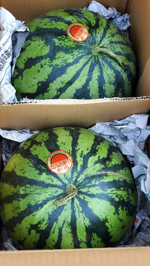 20210802会津から山都のスイカが届く2