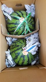 20210802会津から山都のスイカが届く3
