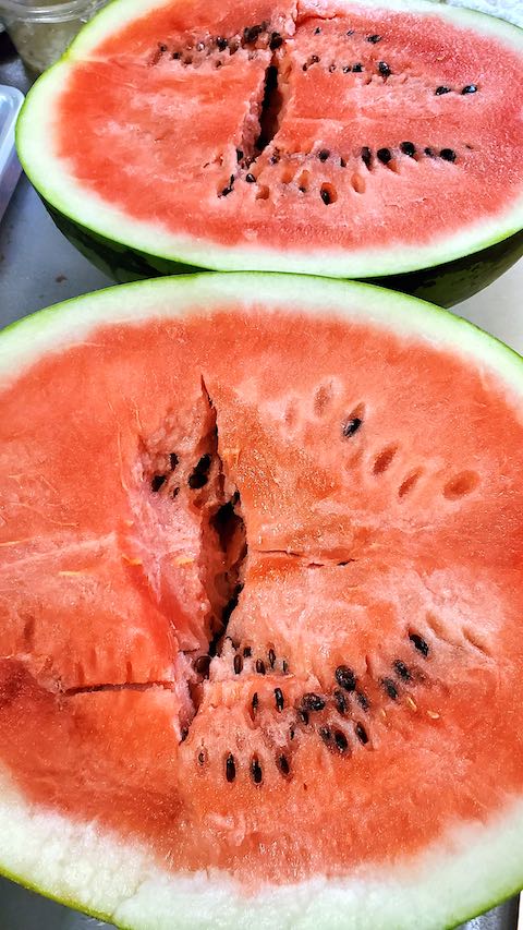 20210802会津山都のスイカ3