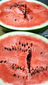 20210802会津山都のスイカ1