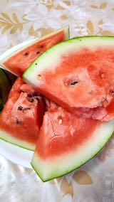 20210802会津山都のスイカ2