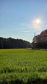 20210802山へ向かう途中の田んぼと空