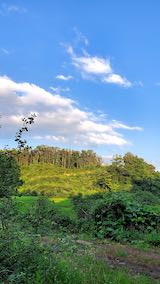 20210802山の様子東の空