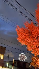 20211103齩ֲ4
