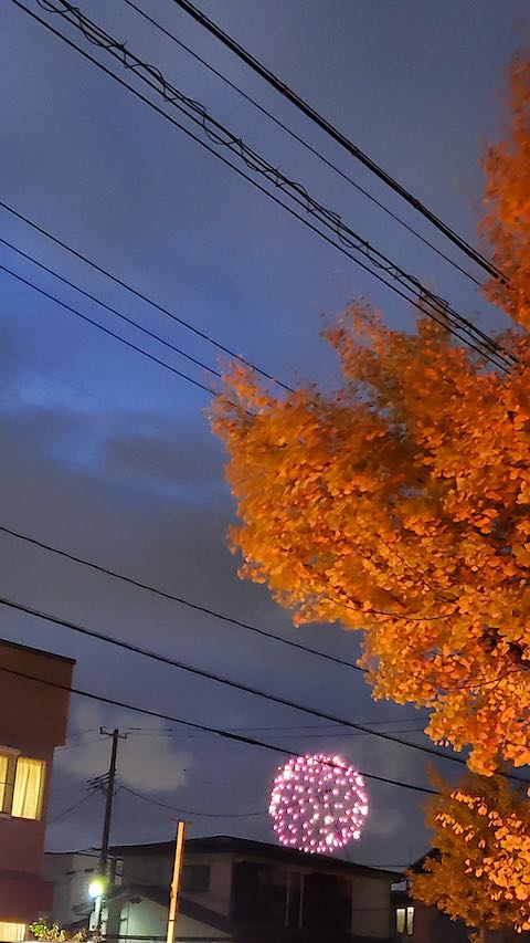 20211103齩ֲ3