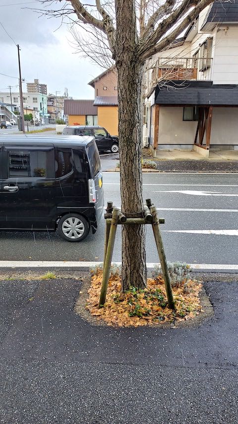 20211126ĻԤǽ㡩