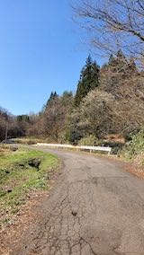 20220417山へ向かう途中の峠道