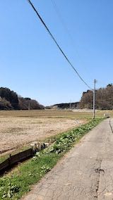 20220417山からの帰り道田んぼと空