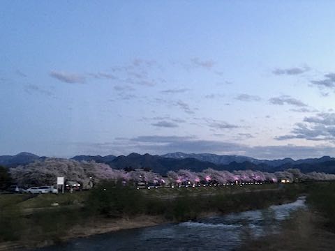 20220417会津美里町宮川千本桜のライトアップ