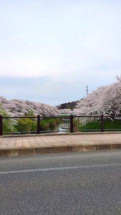 20220421沼˾ʿ褤κ1