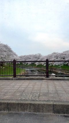 20220421沼˾ʿ褤κ2
