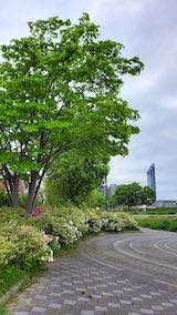 20220513®������θ�������̤ζ�