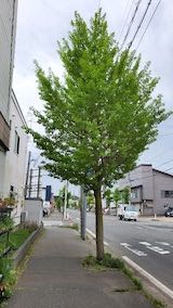 20220513�����ͻ���᤮��ƻ�������̤�1