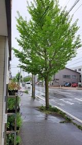 20220513�����ͻ���᤮��ƻ�������̤걫�ߤ�1