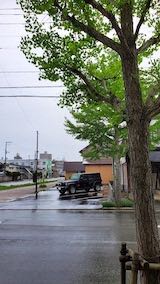 20220513�����ͻ���᤮��ƻ�������̤걫�ߤ�2