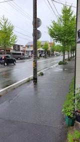 20220513�����ͻ���᤮��ƻ�������̤걫�ߤ�3