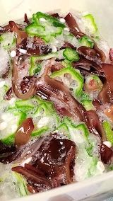 20220712���뤴�ӥ�������������饲�Υ����