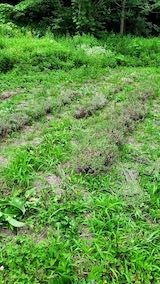 20220712��������٥�����δ������