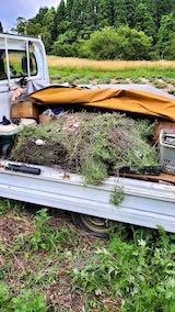 20220712������ߤκѤ����ƻ�䤪Ź���Υ�٥����������