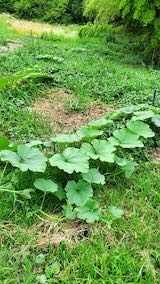 20220712���ܥ���Ȫ