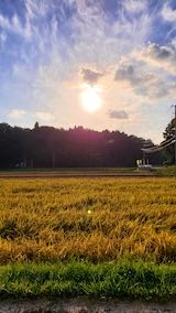 20220929山へ向かう途中の田んぼと空