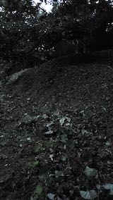 20220929草刈り後の様子3