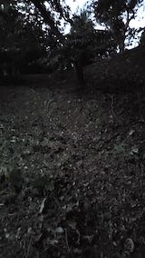 20220929草刈り後の様子2