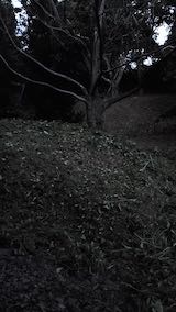 20220929草刈り後の様子4