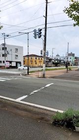 20221003外の様子昼過ぎ1