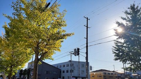 20221013ͻ᤮祦ڤŤϤ1