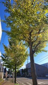 20221013ͻ᤮祦ڤŤϤ2