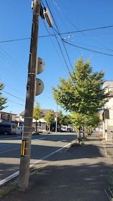 20221013ͻ᤮祦ڤŤϤ3